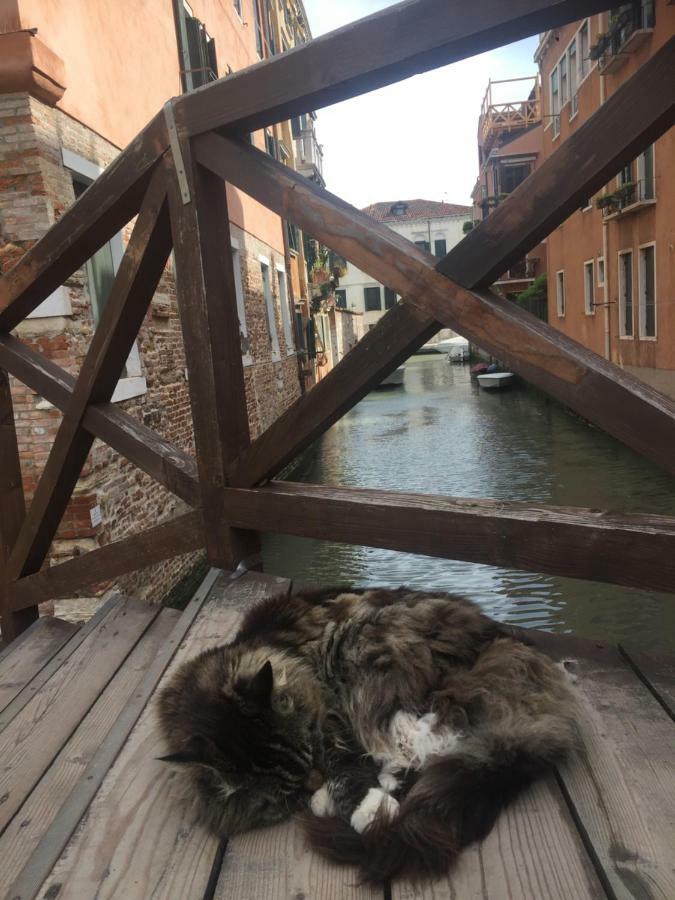 Tintoretto 1 Con Terrazza Sopra Il Tetto, 3 Bagni, 3 Grandi Camere Da Letto, Super Nuovo Venice Exterior photo